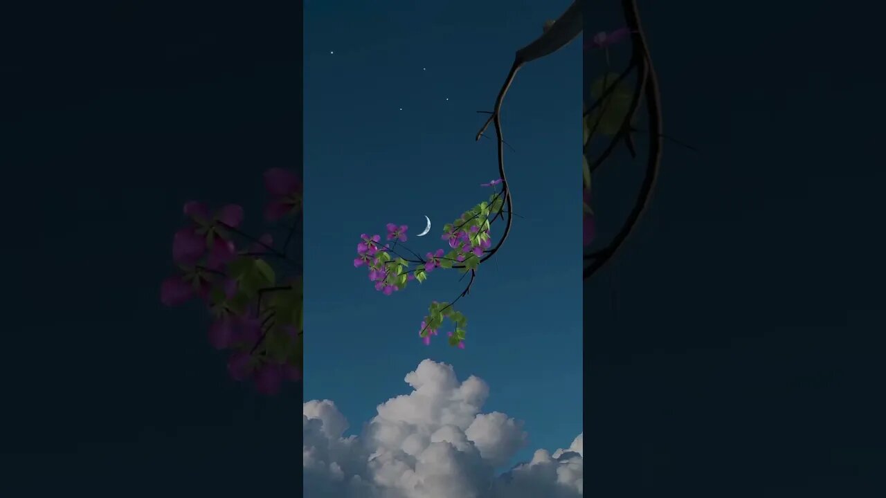 beautiful moon and flowers