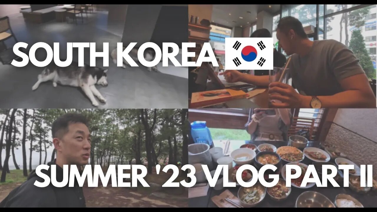 VLOG #3: Exploring Busan, 꼬막비빔밥, Arcade, Dog Cafe, New Puppy (?), Local Concert, Costco and More