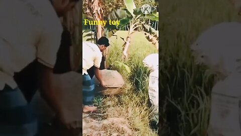 😂😂Funny grass #shorts #viral #youtubeshorts #funny #short