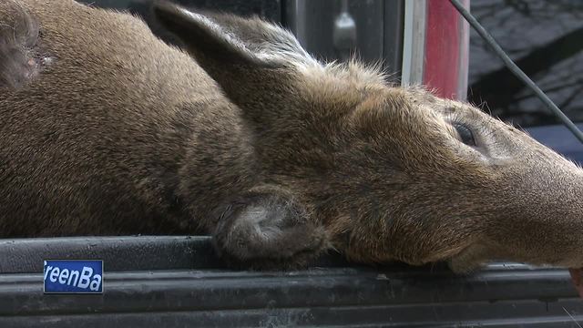 Wisconsin hunters take nearly 12 percent fewer deer on opening weekend