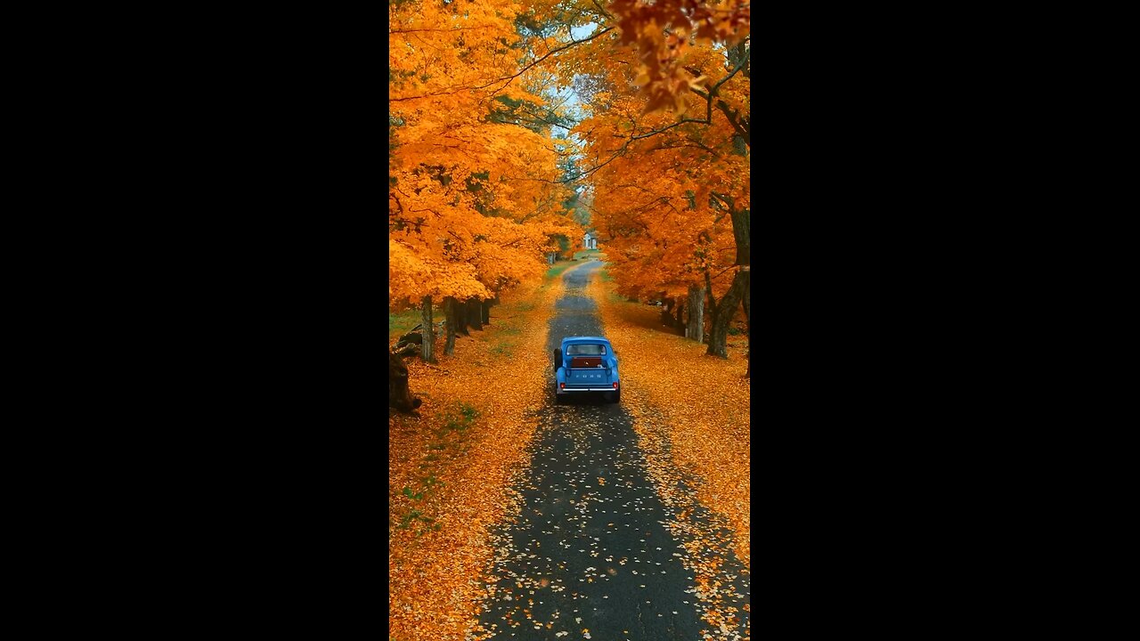 Are you ready to drive on this road?