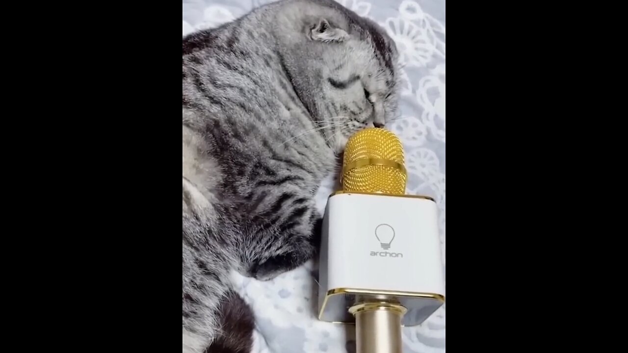 OMG So Cute and crazy ♥ Funniest Cats and Dogs ammazing Videos 2023