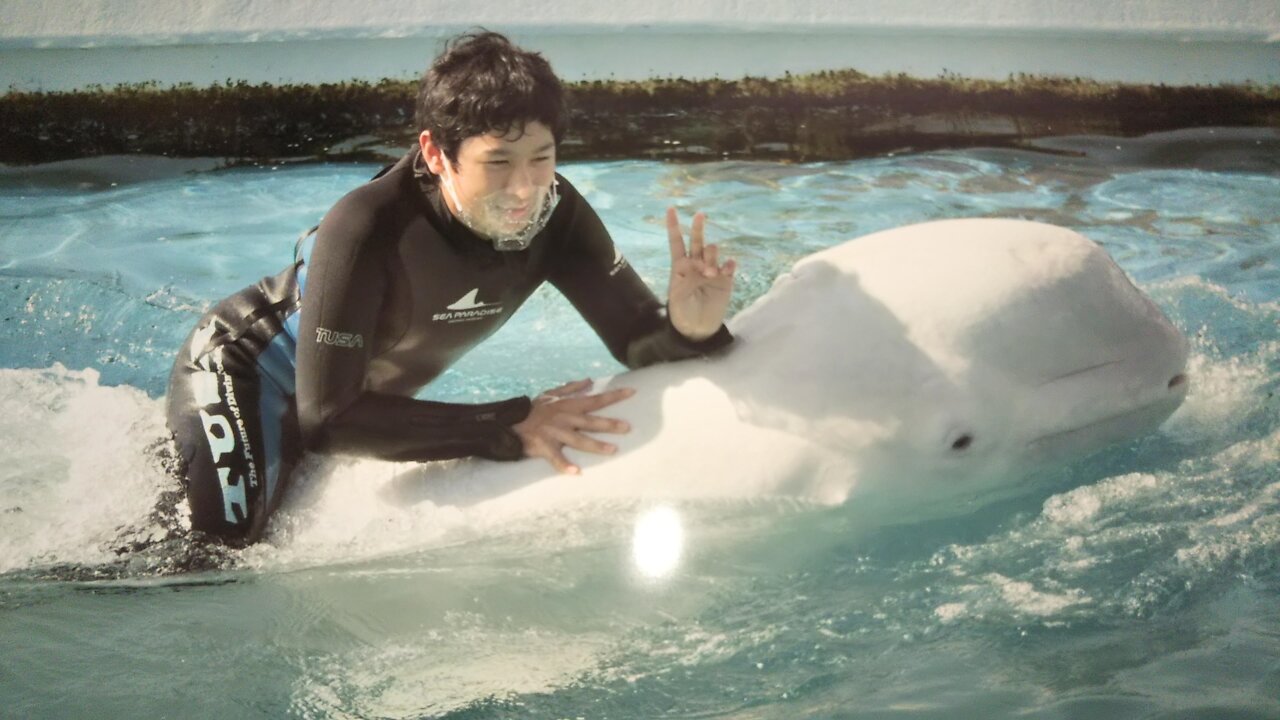 El Paraíso marino de Isla Hakkeijima