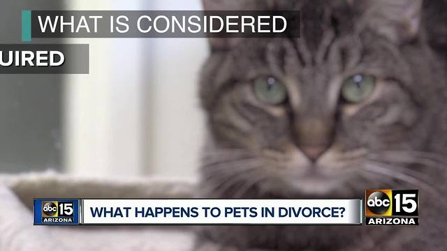 Who keeps the pets after a divorce under Arizona law?