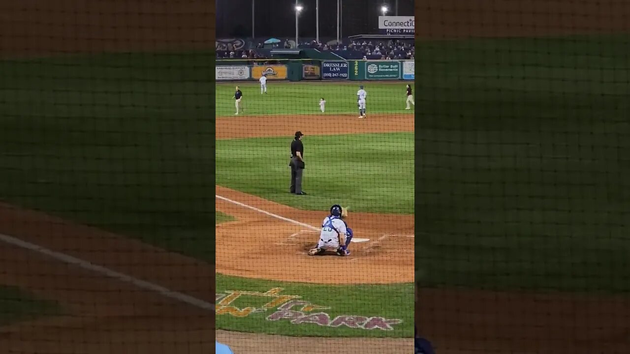 Baby Goat Race - Feel Good Content #YardGoats #Baseball #Games