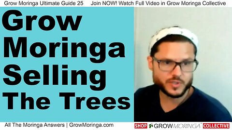 Selling Your Moringa Trees | How Much? Grow Big & Fast w/Organic Soil Amendments +BioChar & Compost