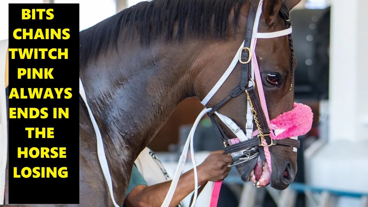 Michigan State University Horse Teaching Center - How To Hurt & Cause Pain To A Horse