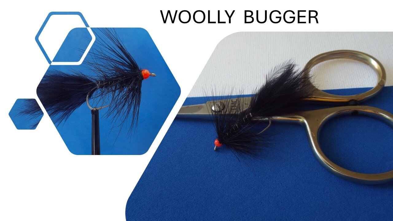 Woolly Bugger with fly tying tips - lesson by Author