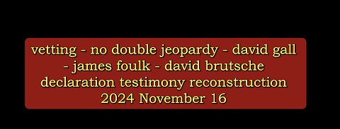 vetting - no double jeopardy, declaration testimony, reconstruction 16 November 2024 mop and bucket