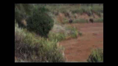 Kenya 2006