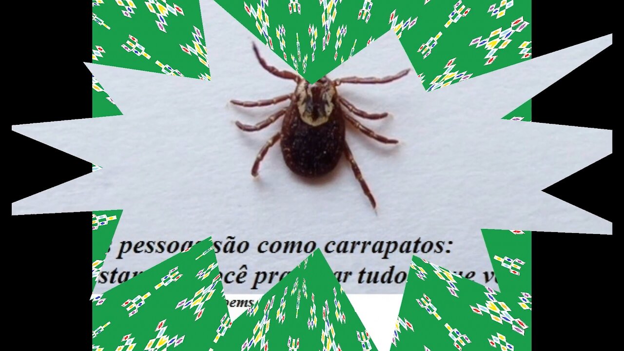 Algumas pessoas são como carrapatos, se encostam para sugar o que você tem! [Frases e Poemas]