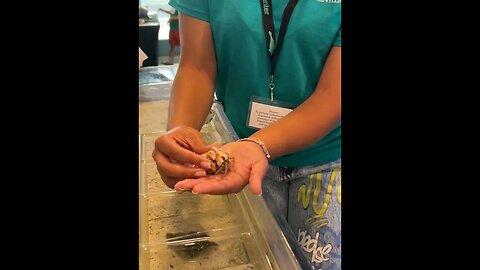 Aquarium 2023 06 22 11 10 59