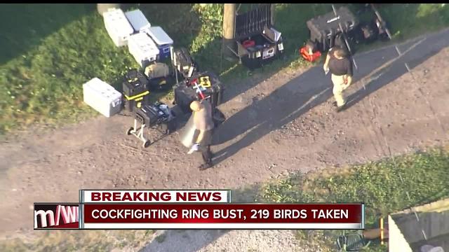 More than 200 birds removed from SE-side house in cockfighting bust