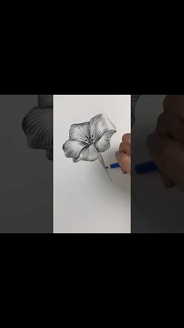 Amazing Pencil Drawing 3D Art | Satisfying Drawing Videos #19