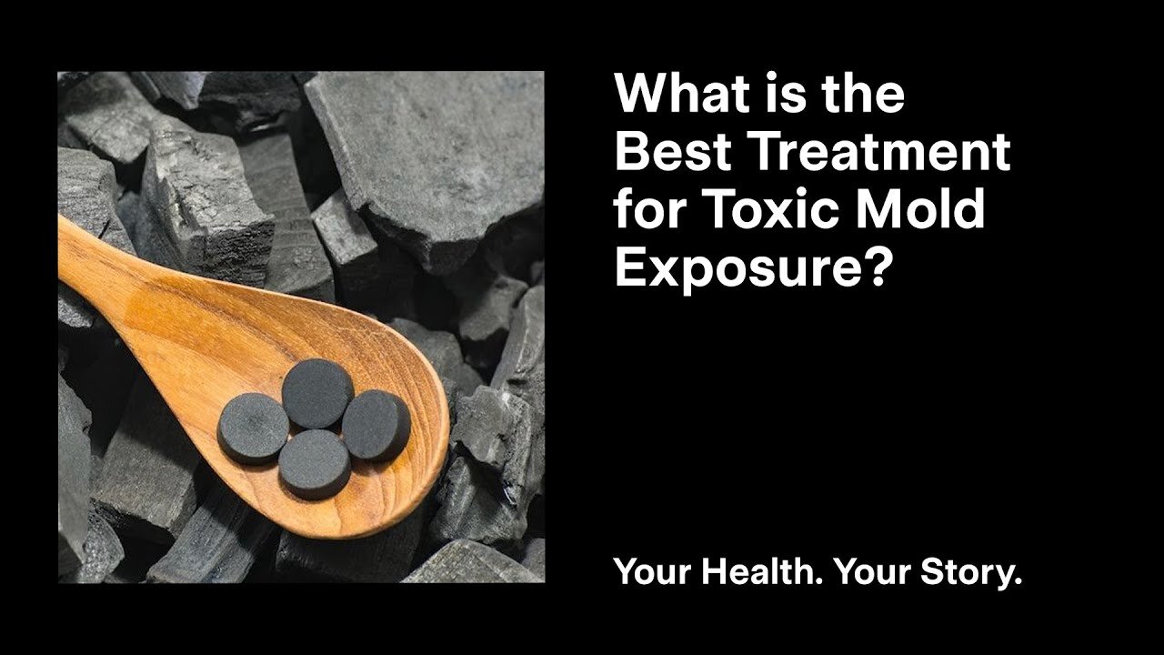 What is the Best Treatment for Toxic Mold Exposure?