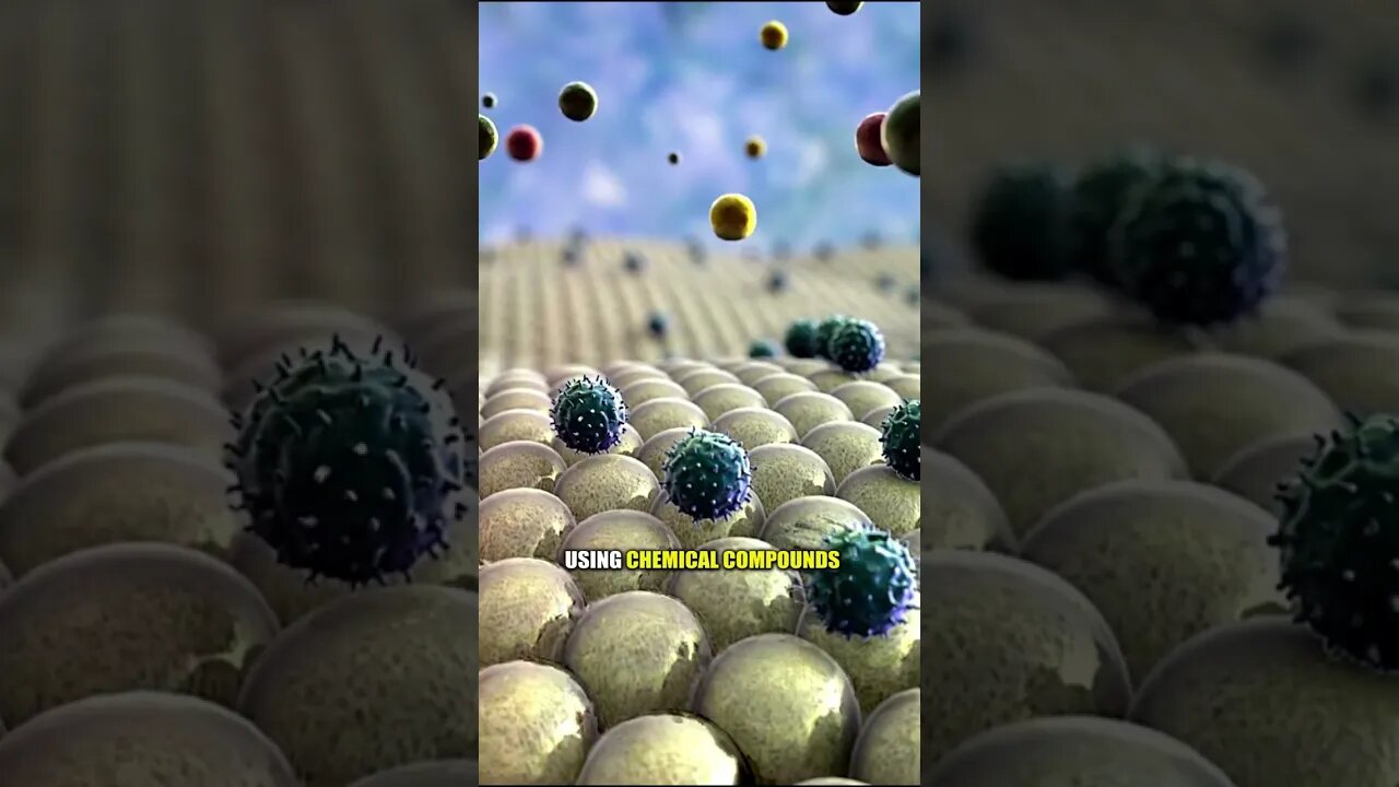 TWO TYPES OF IMMUNE FUNCTION! 👍🔥🙌 | Dr. Boris Nektalov