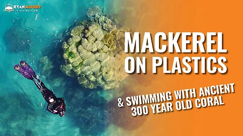 Brooke Islands: Swimming on ancient 300 year old coral and catching spotted mackerel on plastics
