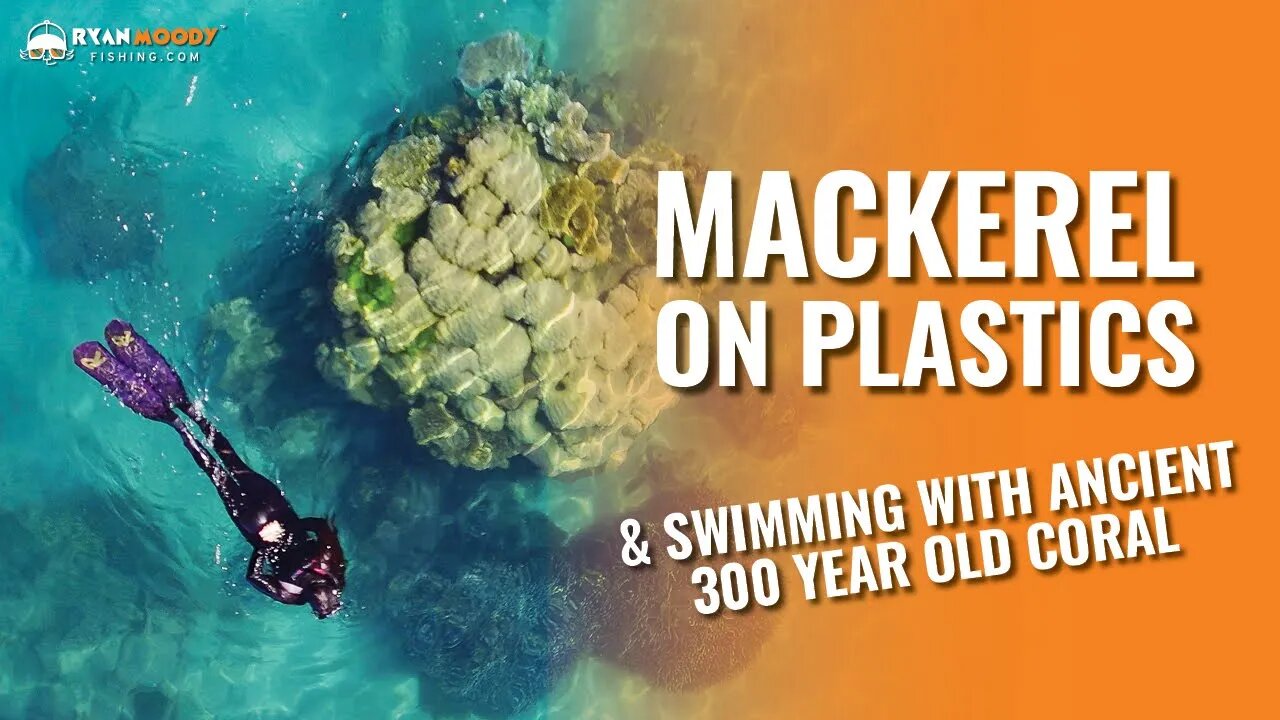 Brooke Islands: Swimming on ancient 300 year old coral and catching spotted mackerel on plastics