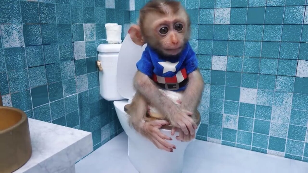 Satisfying video Cute Baby Monkey animals| Zozo Monkey go to toilet and eat Surprise Eggs with Puppy