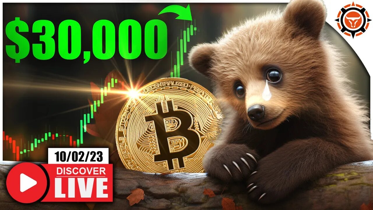 Bitcoin Bears WRECKED! (New 2023 Highs Coming?)