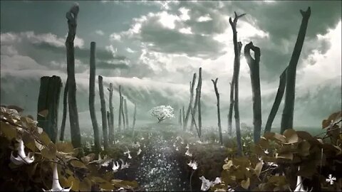 I Will See you in Paradise