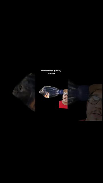 These fish go through massive changes