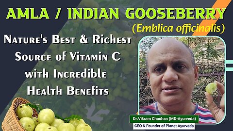 Amla,Indian Gooseberry - Best Richest Source of Vitamin C