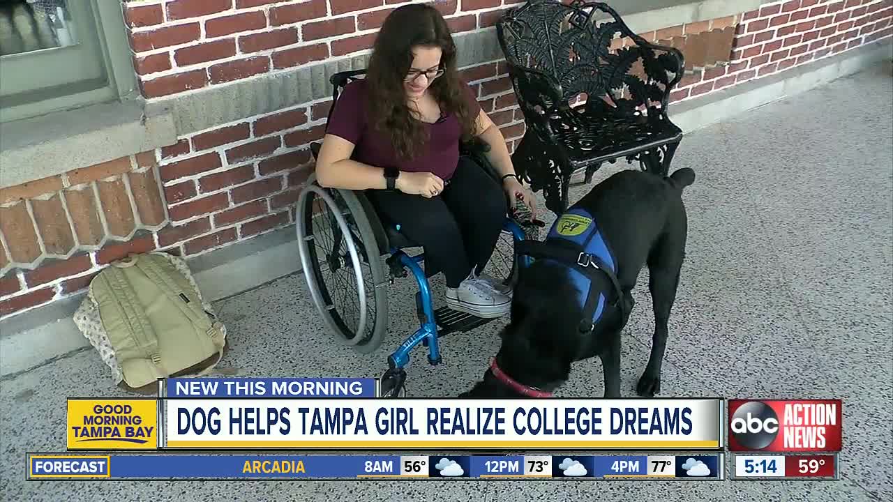 Nerf the dog helps University of Tampa student achieve her college dreams