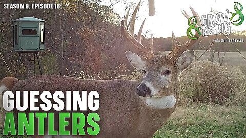 Creating a Buck Hit List