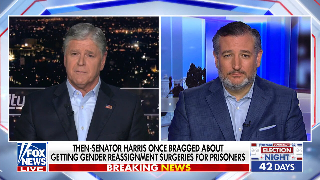 Sen. Ted Cruz: The Democrat Party Has 'Gone Off The Rails'