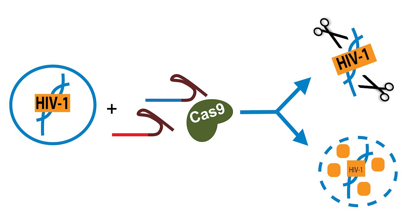 CRISPR -THE CURE FOR AIDS…THE CURE FOR SIN?