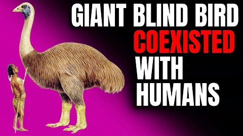 Giant Blind Bird Coexisted With Humans