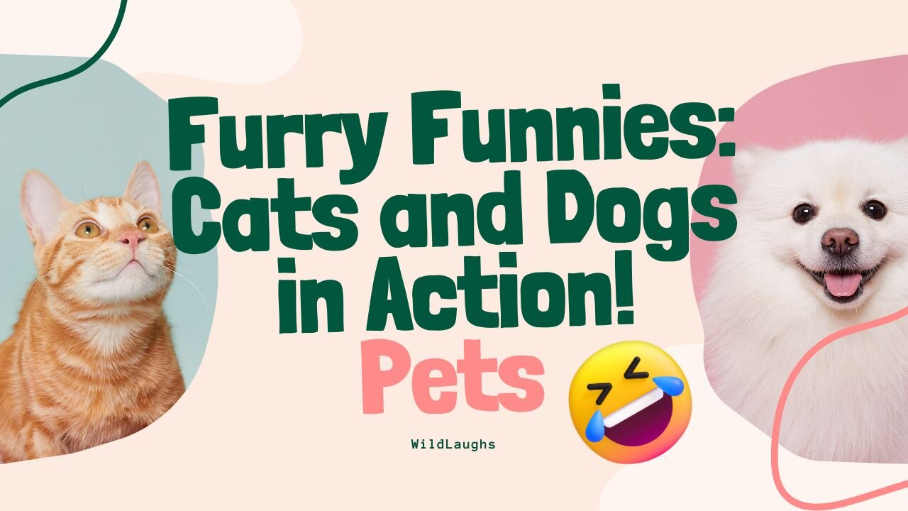 "Fur-iously Funny: Cats and Dogs in Hilarious Moments!"