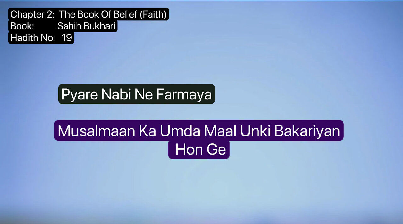 ❤️Pyare Nabi Ne Farmaya,Musalmaan Ka Umda Maal Unki Bakariyan Hon Ge,Hadees No 19,Shorts❤️24Aug23