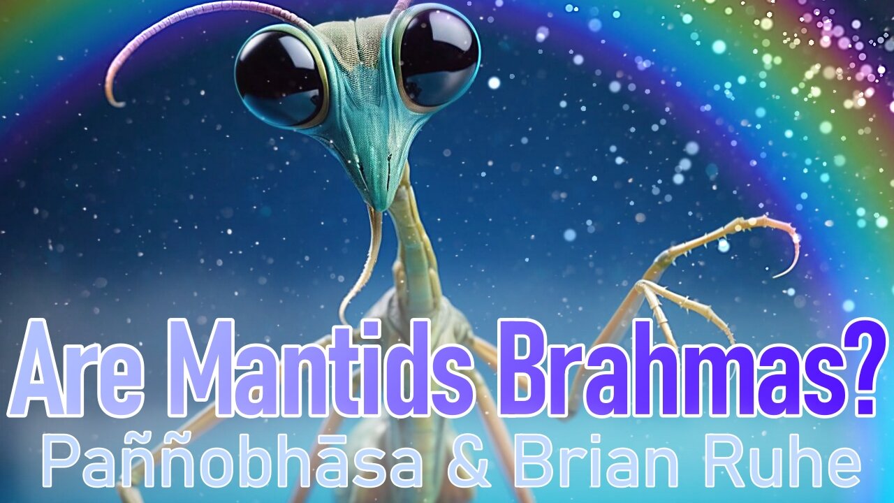 Are Mantid ETs Brahmas Pannobhasa and Brian Ruhe