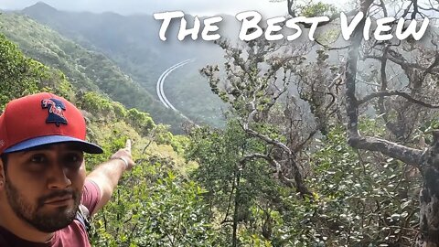 The Best View on Oahu | Episode 1: Aiea Loop Trail