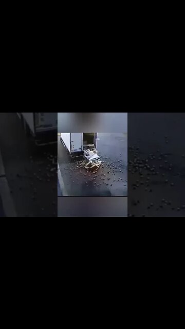 Accidentally, when he opened the car door,fell down "tiktok"