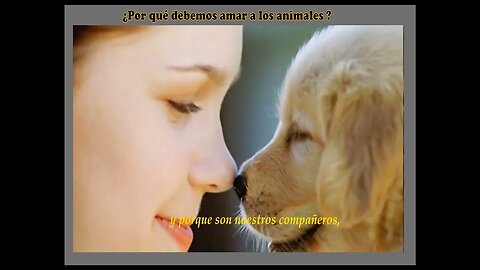 ¿Cuál es tu animal preferido? ¿Tienes mascota? FORO: El amor por los animales