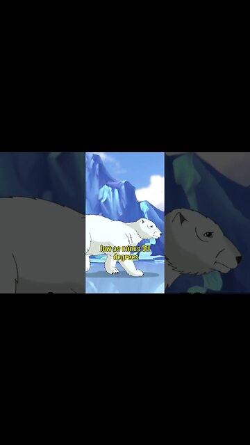 Polar bears have black skin | Daily Dose Of Fact #shorts