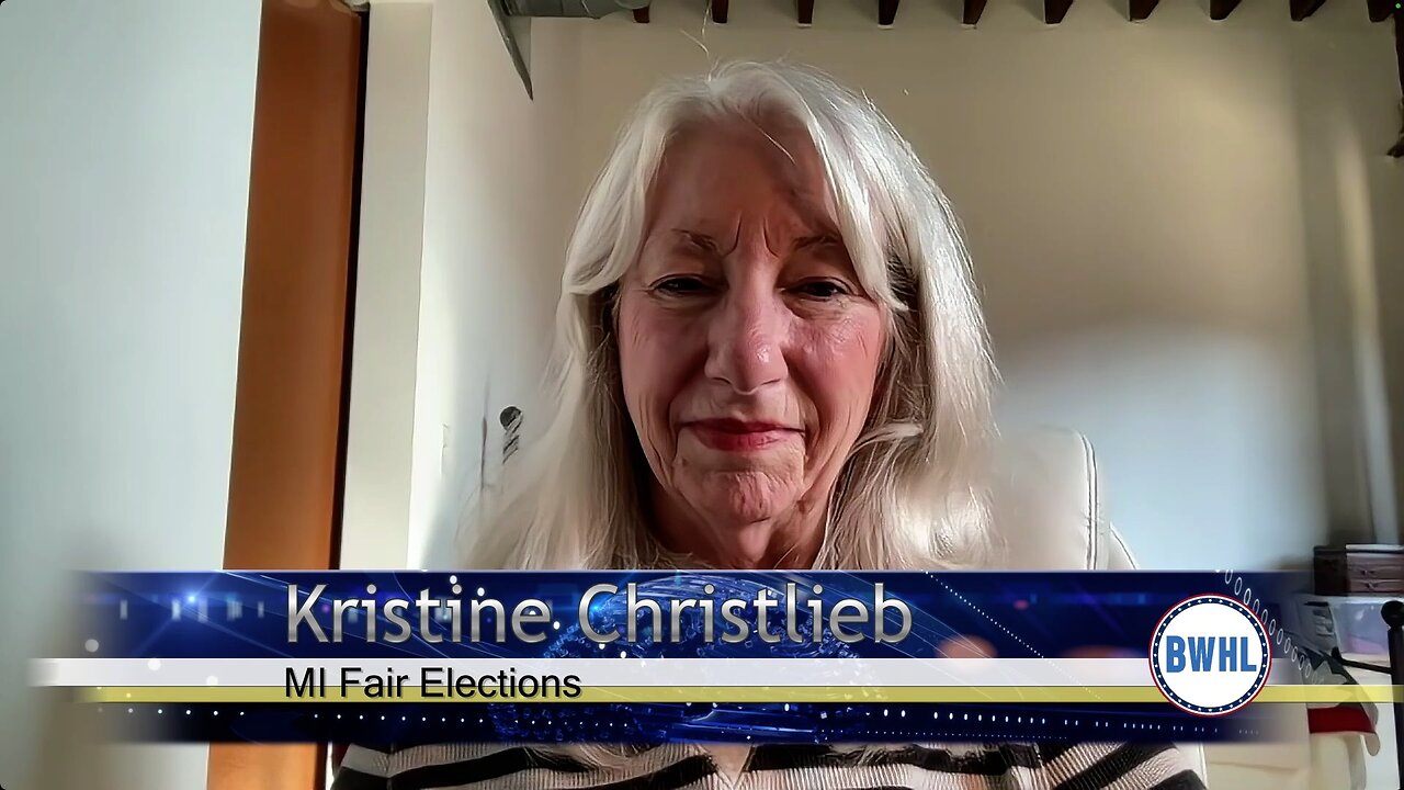 MI Fair Elections - Kristine Christlieb