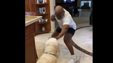 Mike Tyson spar with his dog