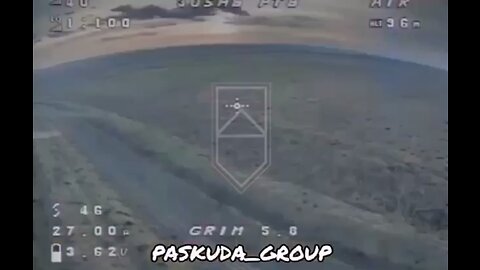 Ukrainian FPV Pilots compliation