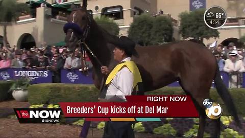 Breeders' cup kicks off at Del Mar