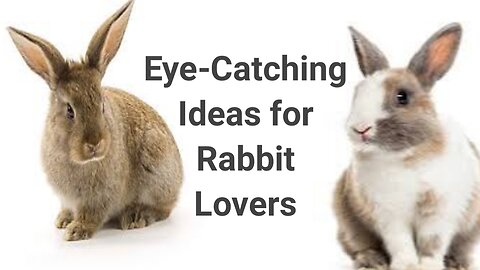 Rabbits | Nature's Gentle Hoppers and Their Fascinating World!