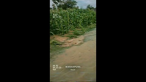flood in punjab