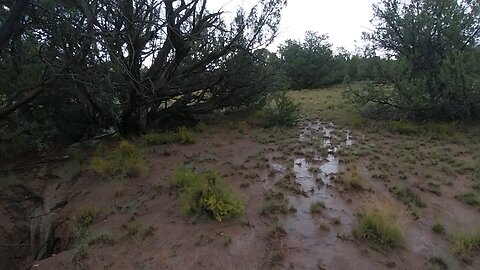 My wash after a heavy rain. pt1.