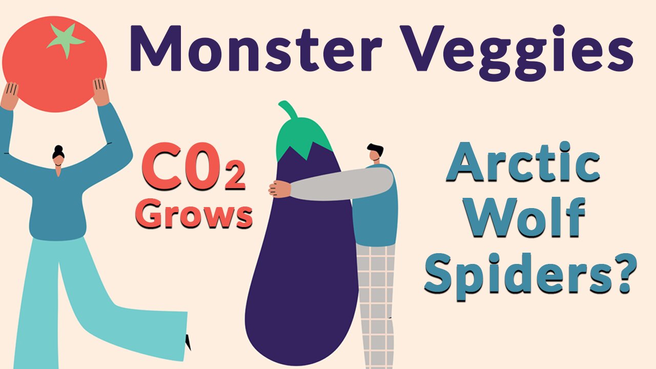 Farms in Flames and Cannibal Wolf Spiders - Newsletter Readout
