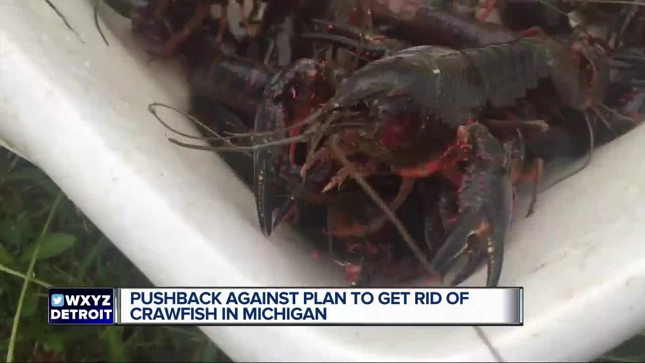 Pushback against plan to get rid of crawfish in Michigan