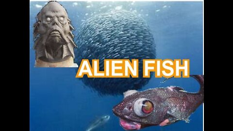 ALIEN FISH