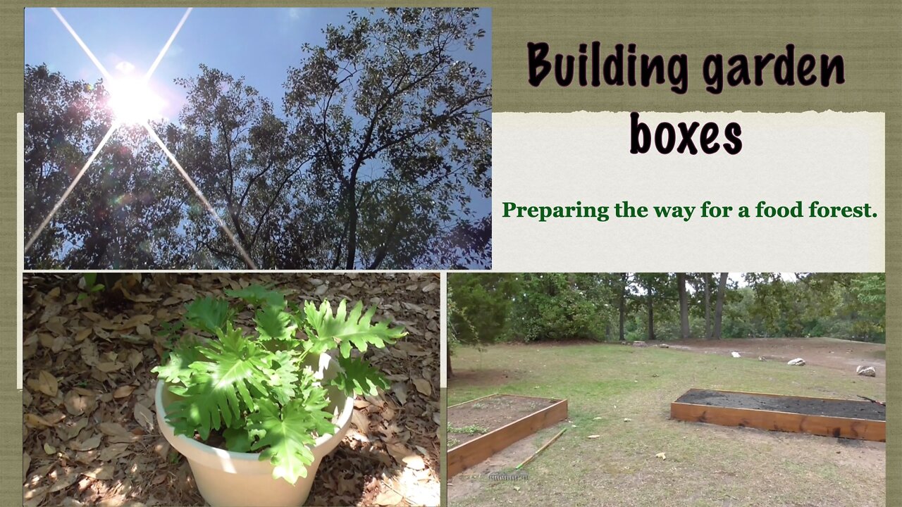 Building The Garden Boxes : Preparing the way for a Food Forest!